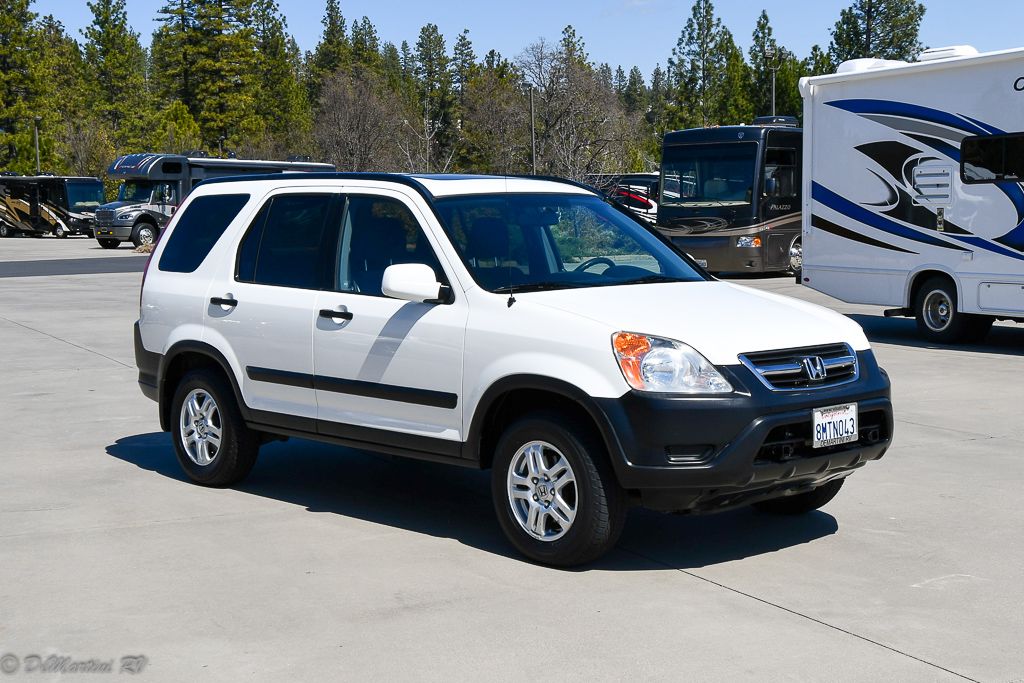 4081