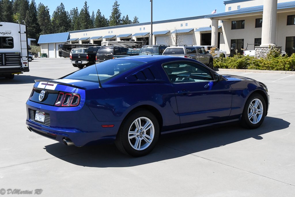 Gallery image 164274